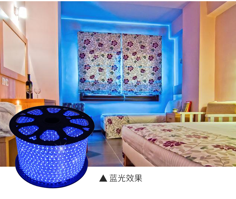 5050-60蓝光参数图3.jpg
